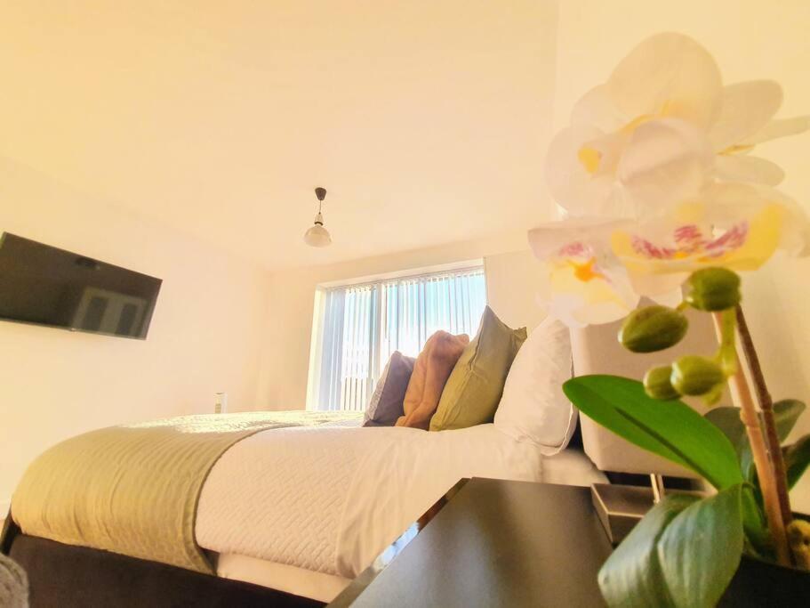 Contemporary Modern Studio Apartment - City Centre Birmingham Ngoại thất bức ảnh